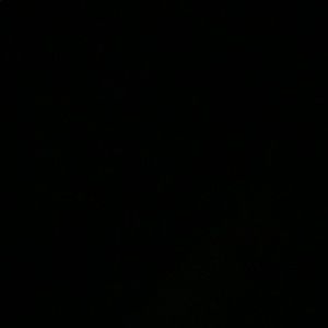 Meet your Posher, Miranda